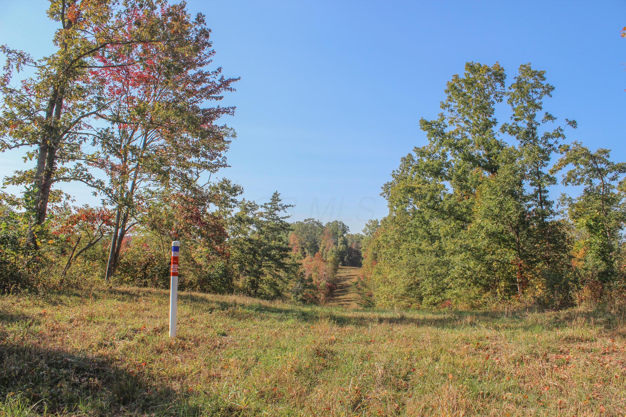 0 Wolfe Road Oak Hill, OH 45656 - Photo 6 of 17