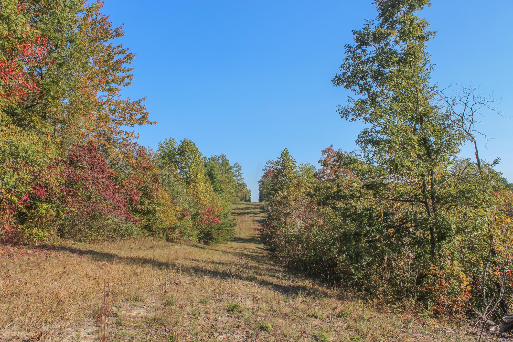 0 Wolfe Road Oak Hill, OH 45656 - Photo 7 of 17