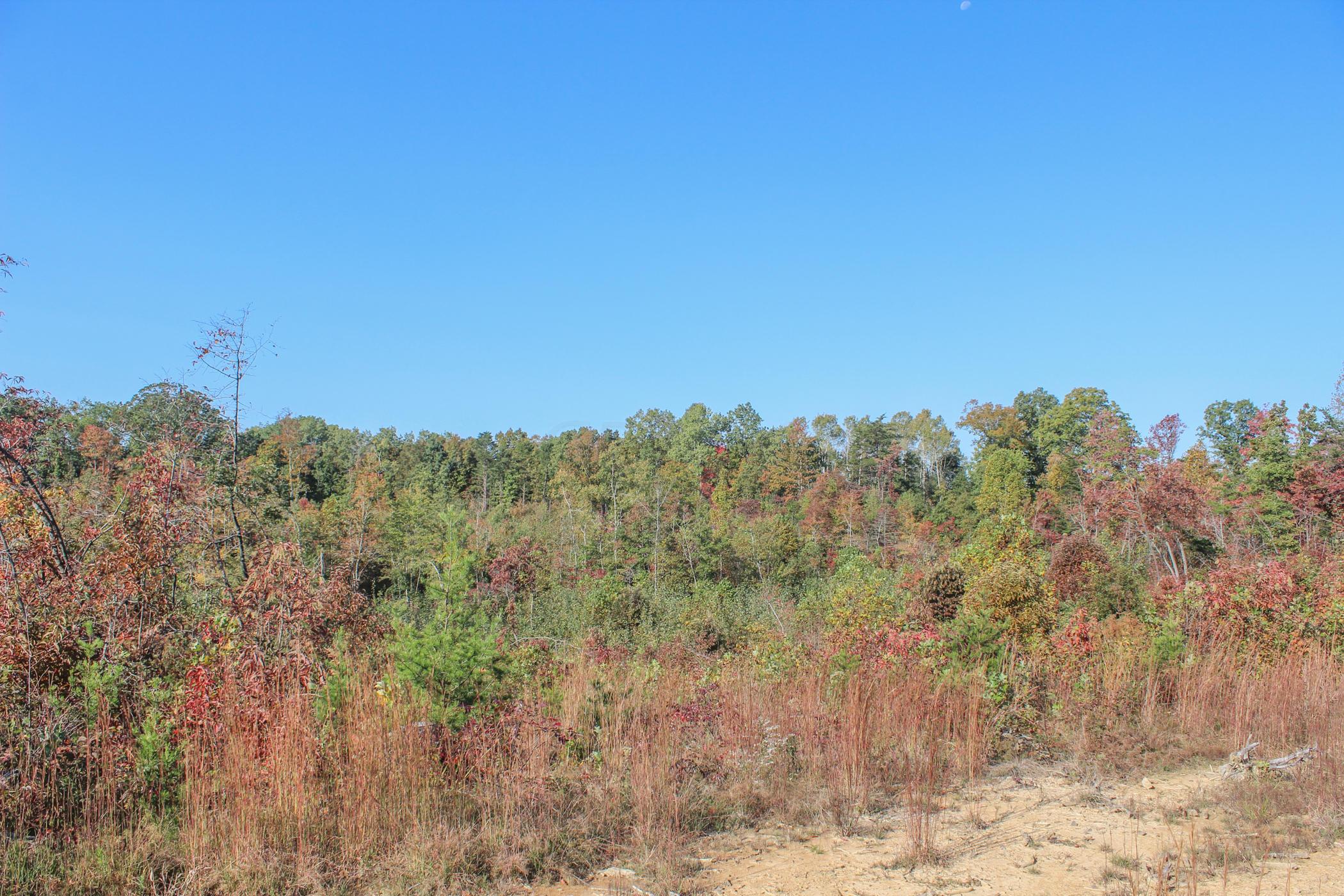0 Wolfe Road Oak Hill, OH 45656 - Photo 10 of 17