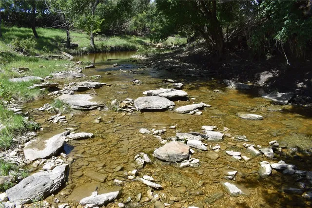 a view of lake with a tree