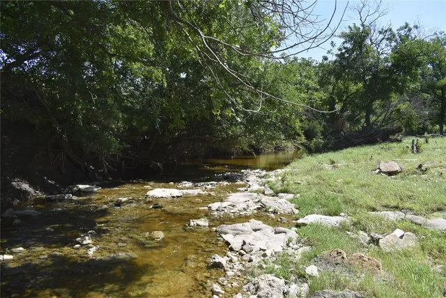 a view of a park that has large trees