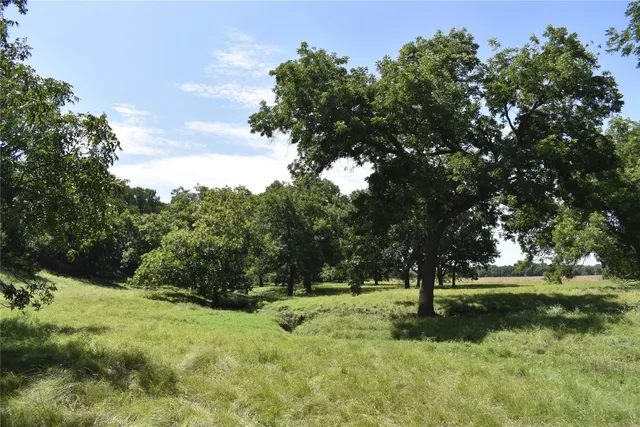 a view of swimming pool with a yard