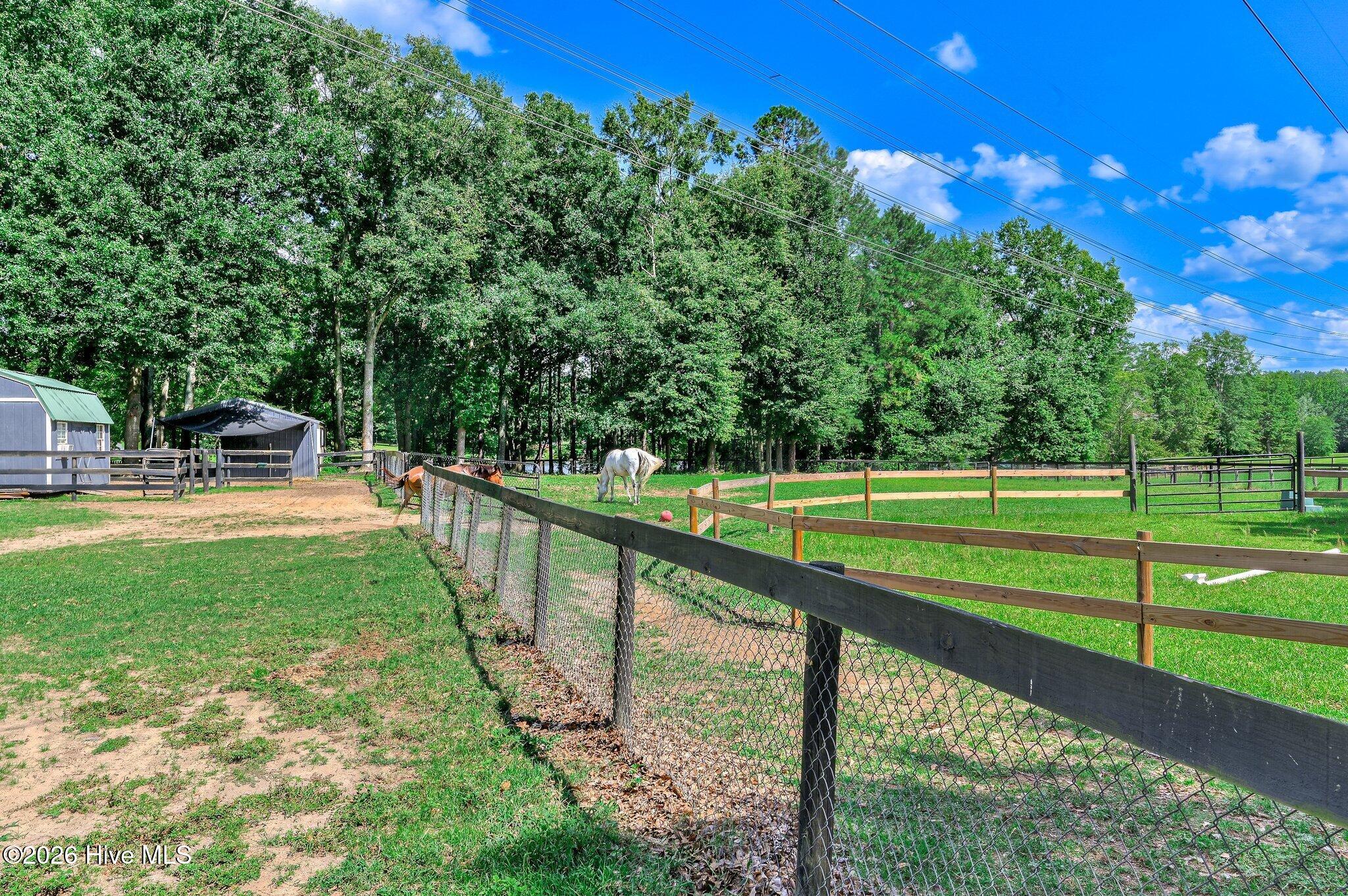 162 Boyd Pond Road Beech Island, SC 29842 - Photo 50 of 58