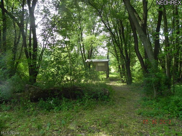 2312 Seminary Road Milan, OH 44846 - Photo 5 of 15