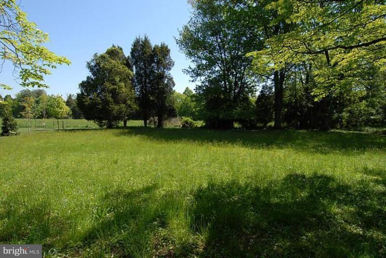 1305 Kurtz Road McLean, VA 22101 - Photo 2 of 20 Gorgeous level lot backs to a Conservation Easemen