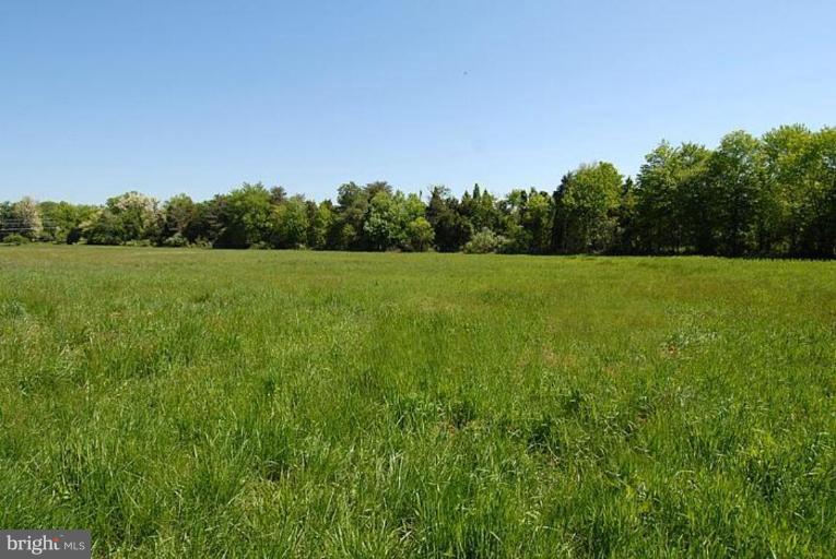 1305 Kurtz Road McLean, VA 22101 - Photo 4 of 20 View of Conservation Easement