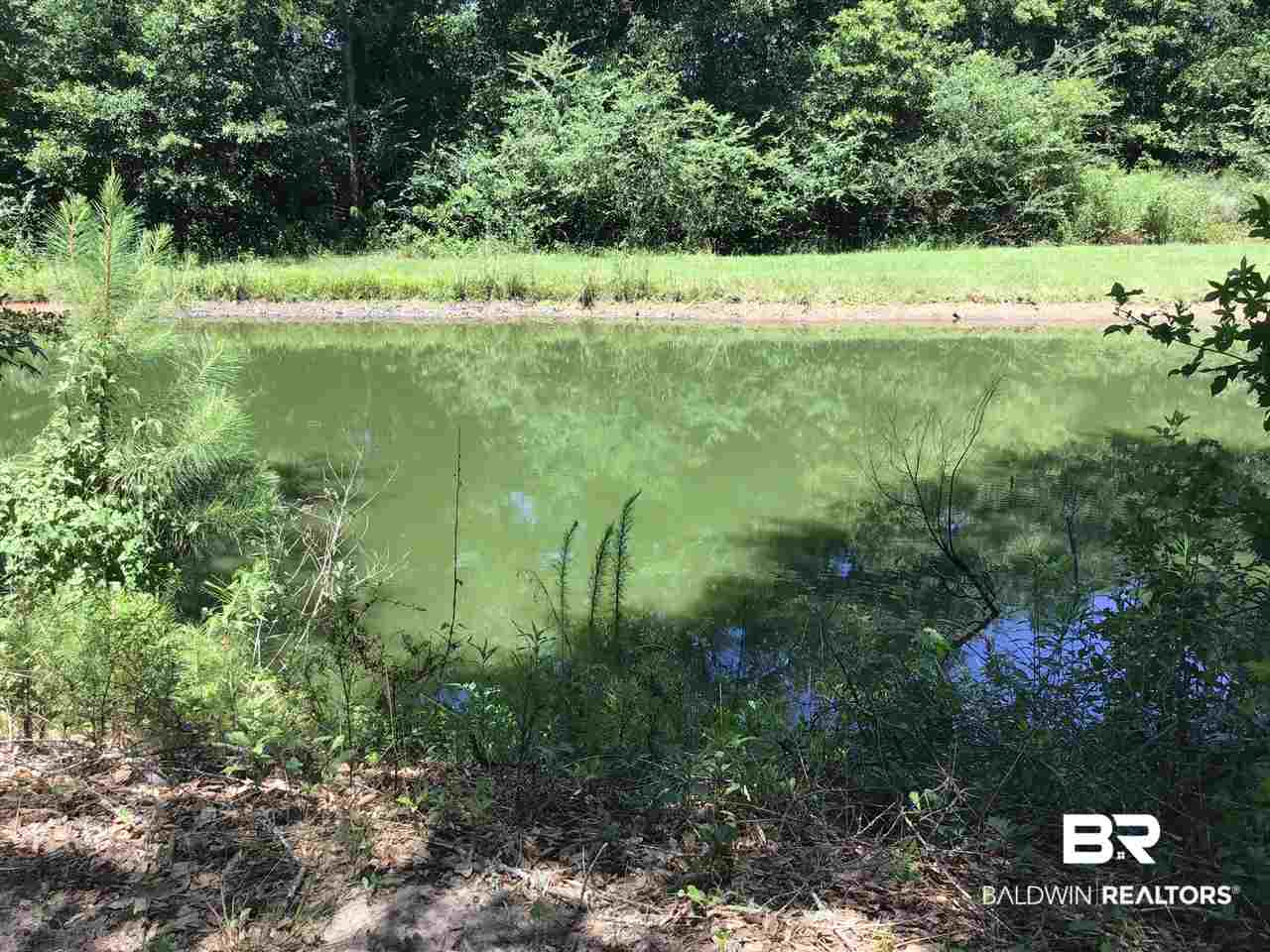 562 Halls Crossroads Road Frisco City, AL 36445 - Photo 3 of 20