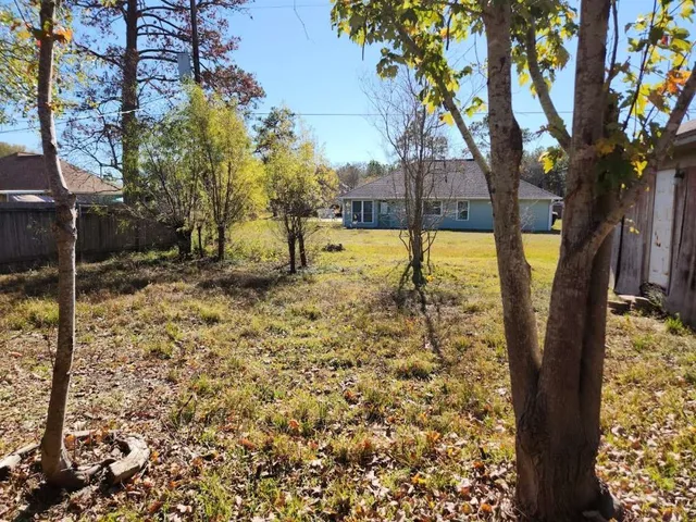 a view of a yard with trees