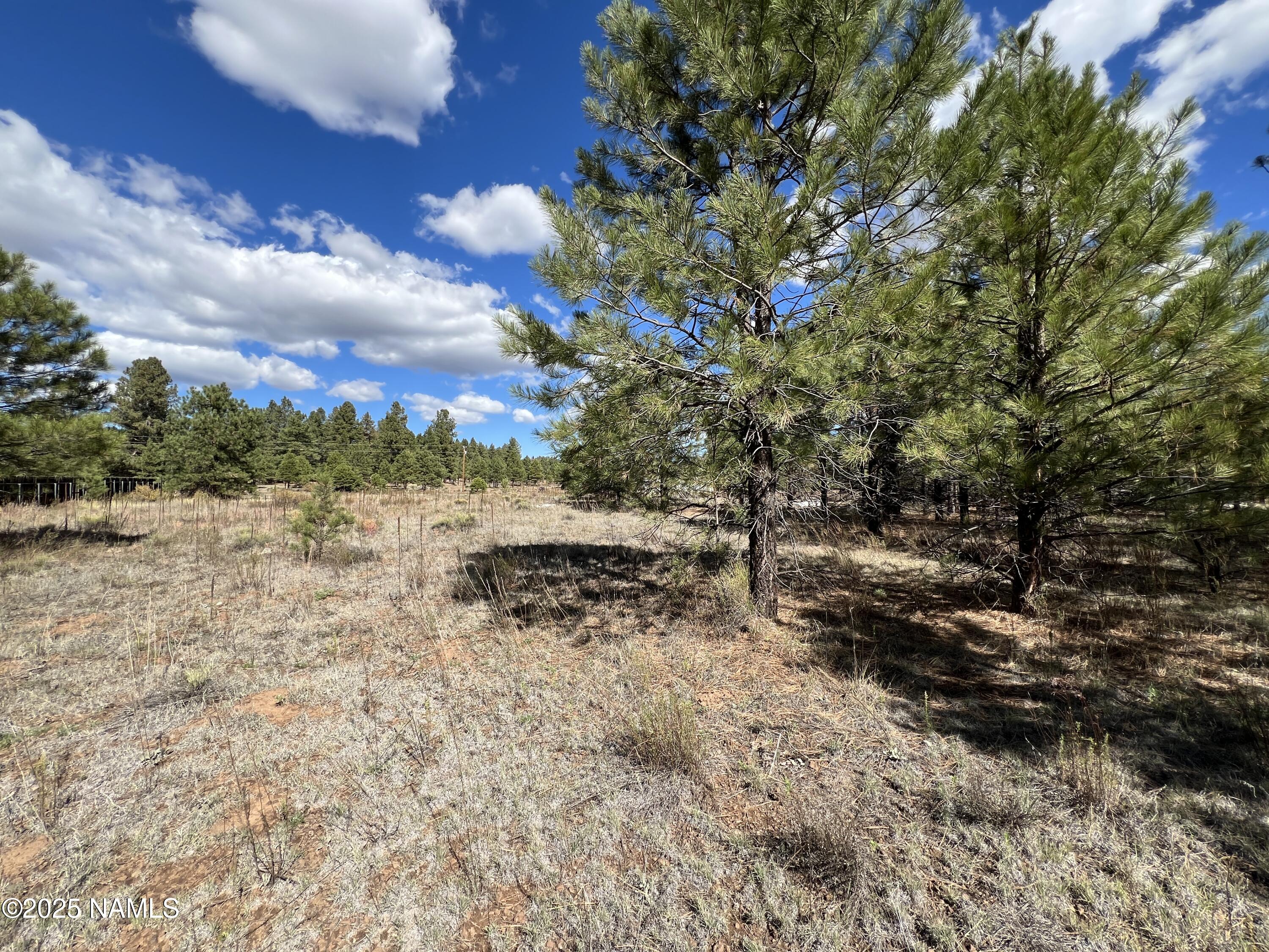 a view of a yard with wooden fence