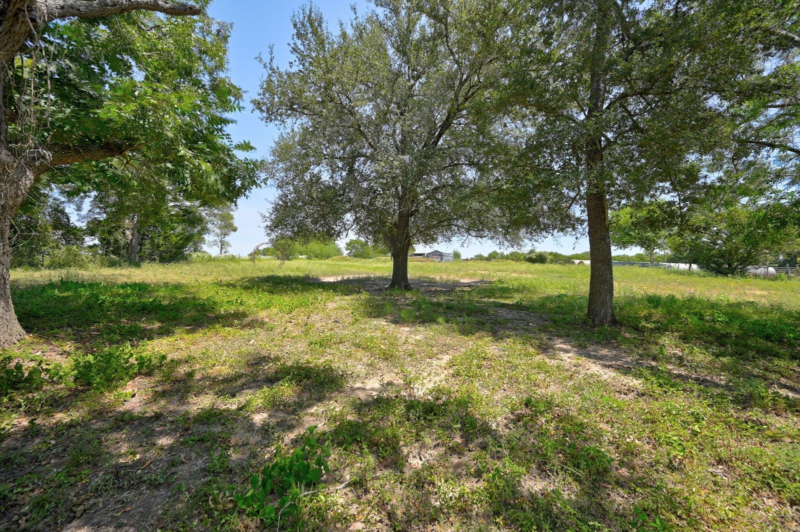 19100 Pickens Road Washington, TX 77880 - Photo 13 of 23 Gallery Image 13