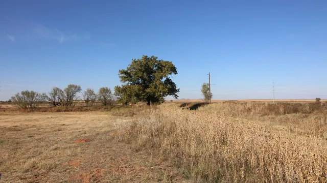 a view of a backyard space