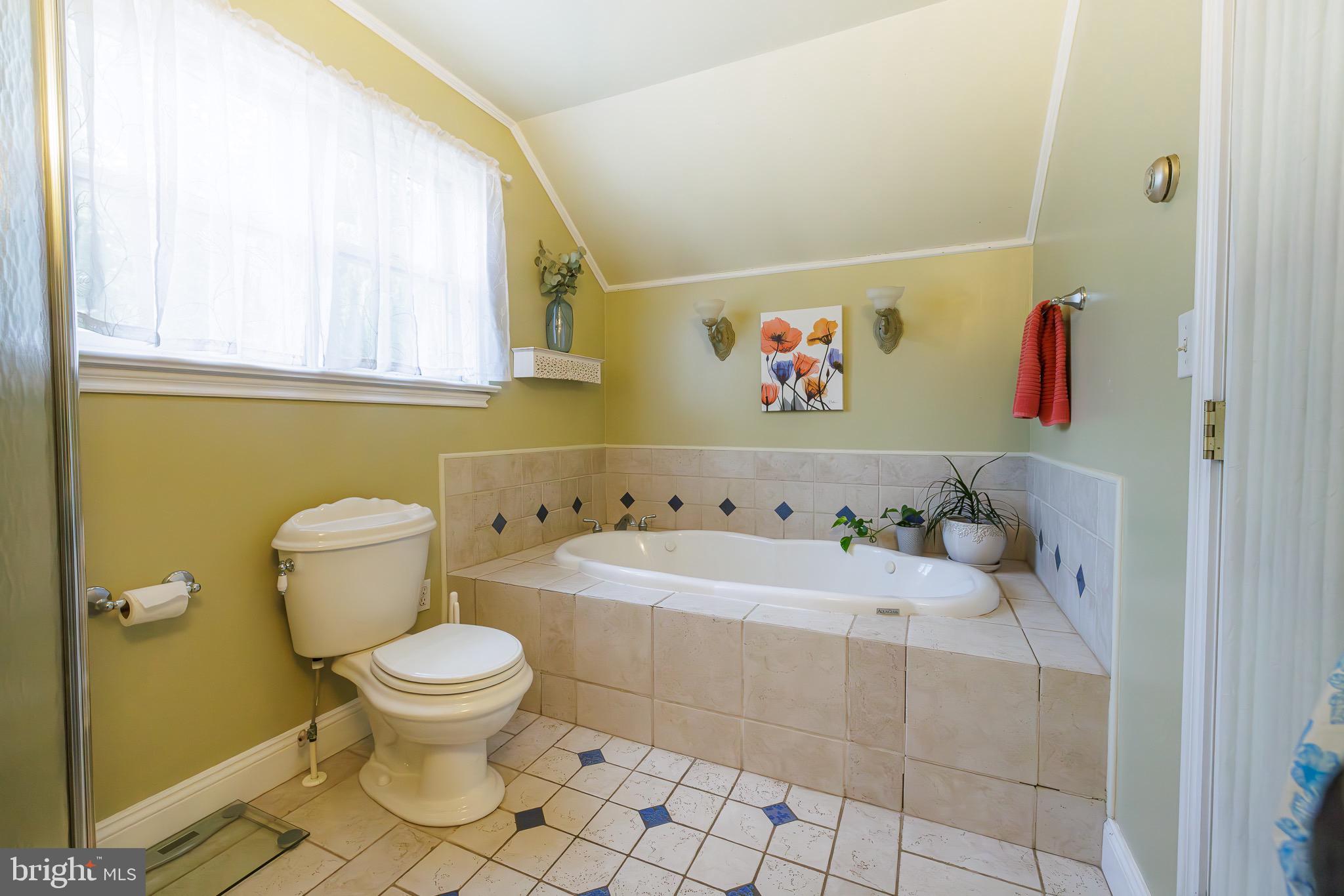 250 Oberlin Road Middletown, PA 17057 - Photo 35 of 59 Large en suite bath