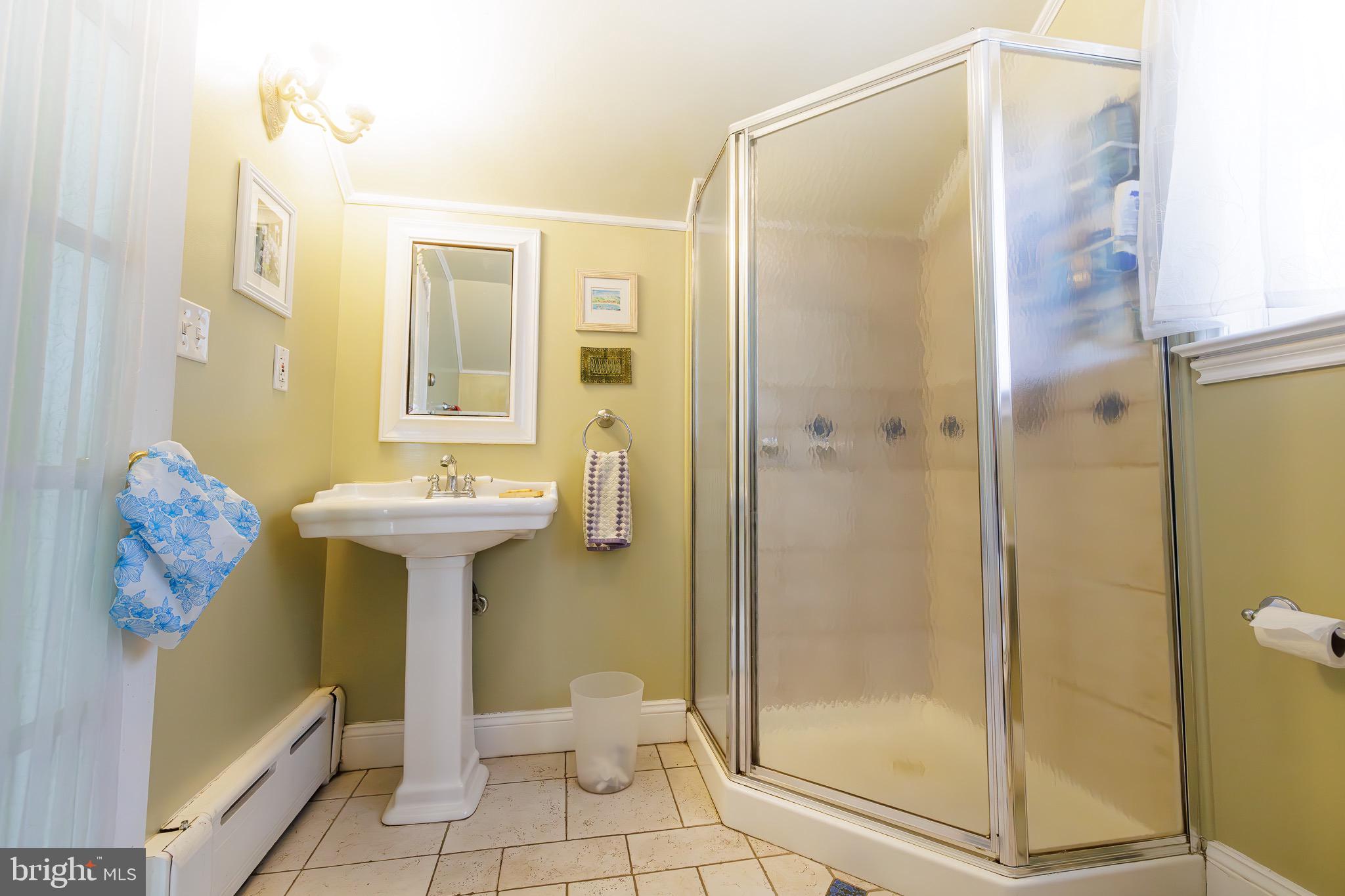 250 Oberlin Road Middletown, PA 17057 - Photo 36 of 59 Shower and bath in en suite