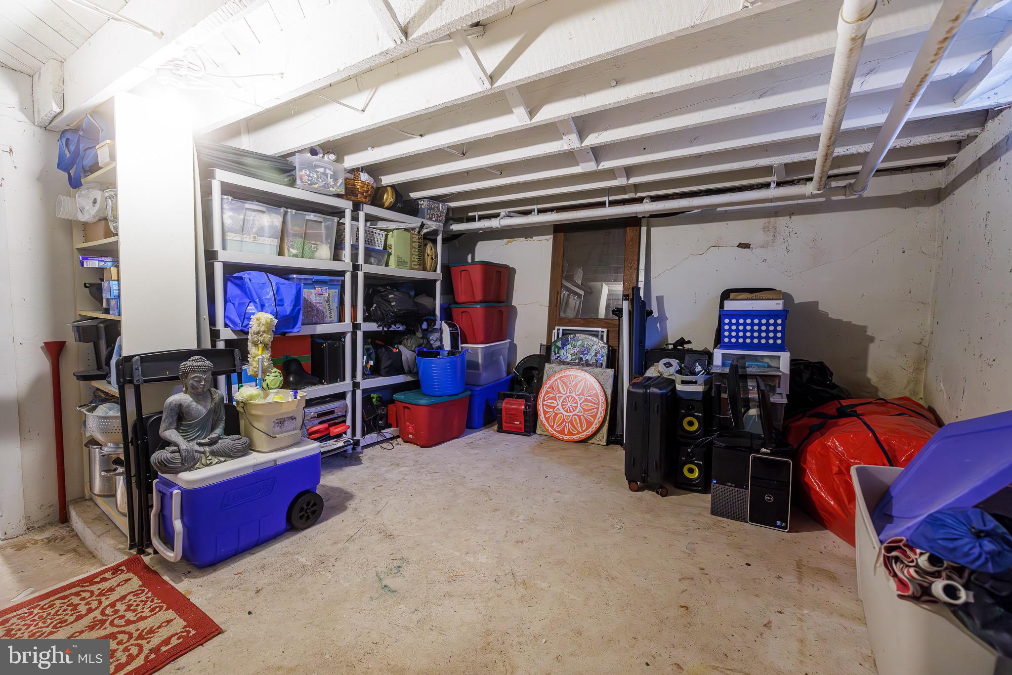 250 Oberlin Road Middletown, PA 17057 - Photo 55 of 59 Extra storage in basement