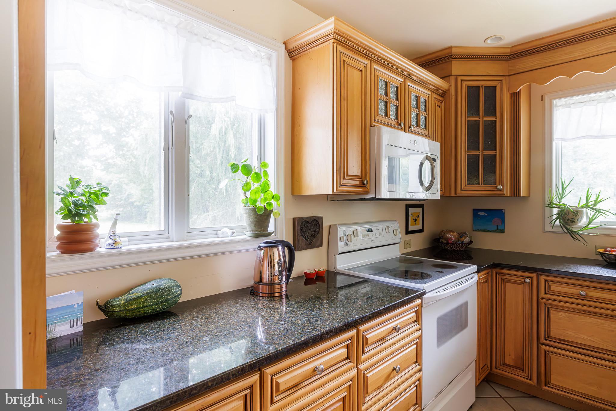 250 Oberlin Road Middletown, PA 17057 - Photo 9 of 59 Gallery Image 9