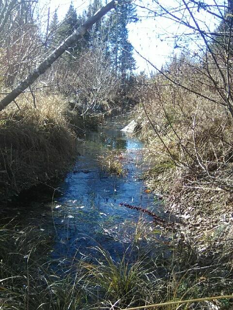 913 Skedgell Road Orient, ME 04471 - Photo 12 of 19 PART_1604160827240_PART_1604160825982_Im