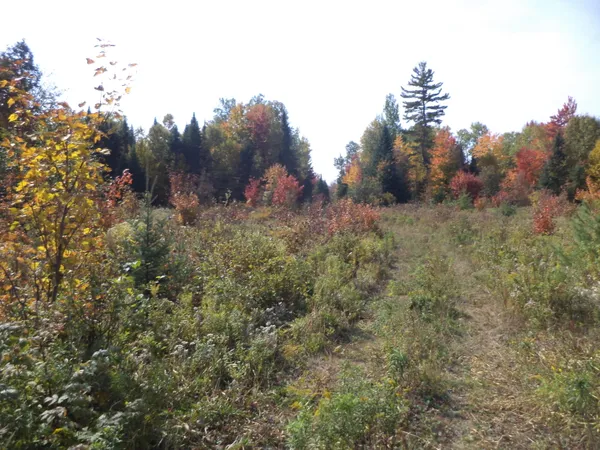$399,900 | 913 Skedgell Road, Orient, ME 04471