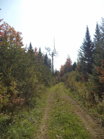 $399,900 | 913 Skedgell Road, Orient, ME 04471