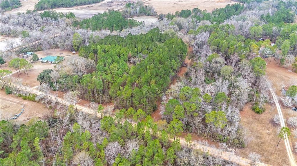 1670 Beaver Dam Road Odum, GA 31555 - Photo 36 of 70 Gallery Image 36