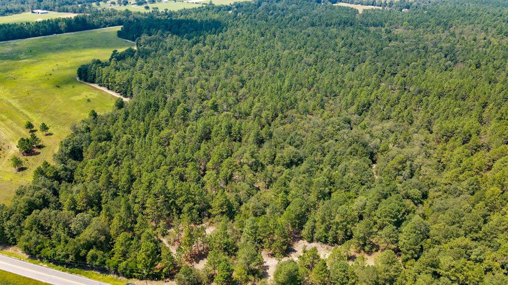 13.962-acr State Park Road Windsor, SC 29856 - Photo 1 of 9