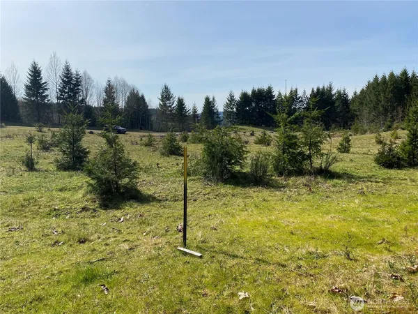 a view of a yard