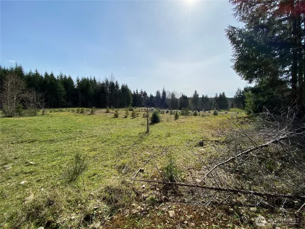 a view of a field with an trees in the background