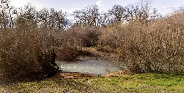 a view of a lush green hillside and houses