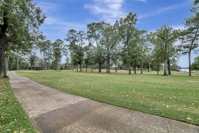 a huge green field with lots of trees