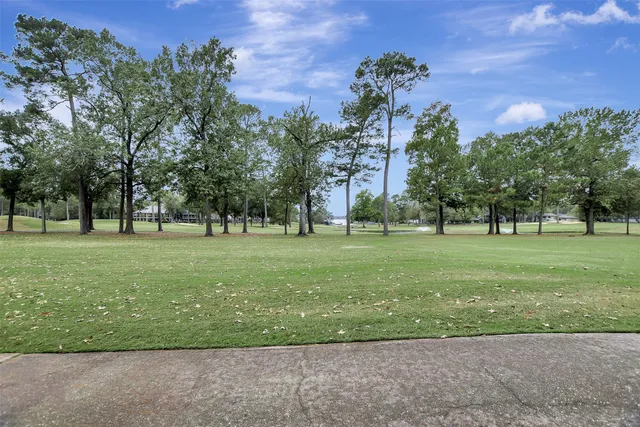 a garden view with a fountain