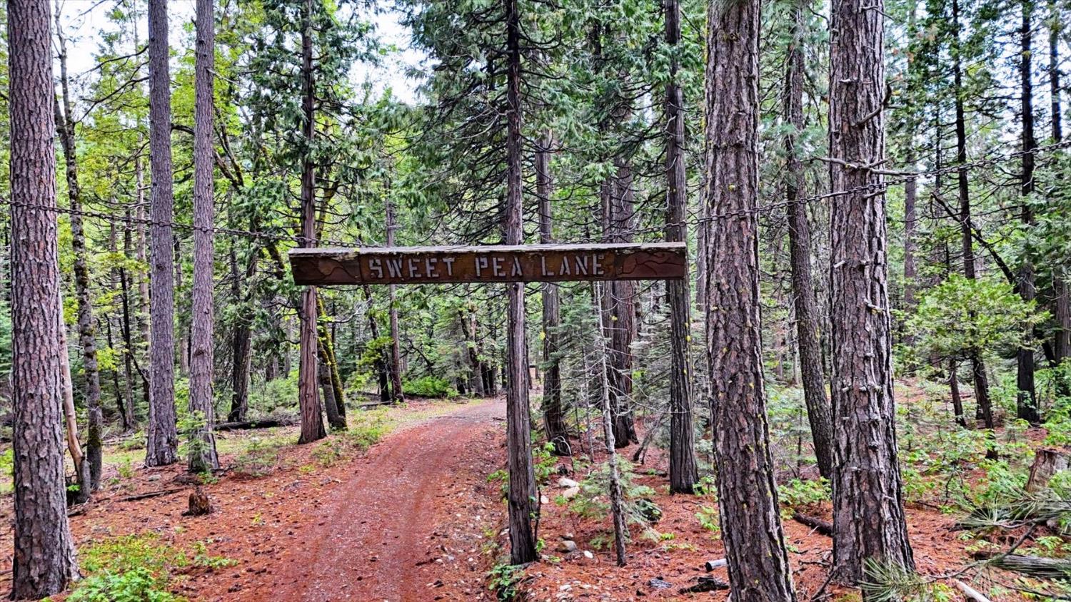 0 Texas Hill Road Emigrant Gap, CA 95715 - Photo 1 of 24
