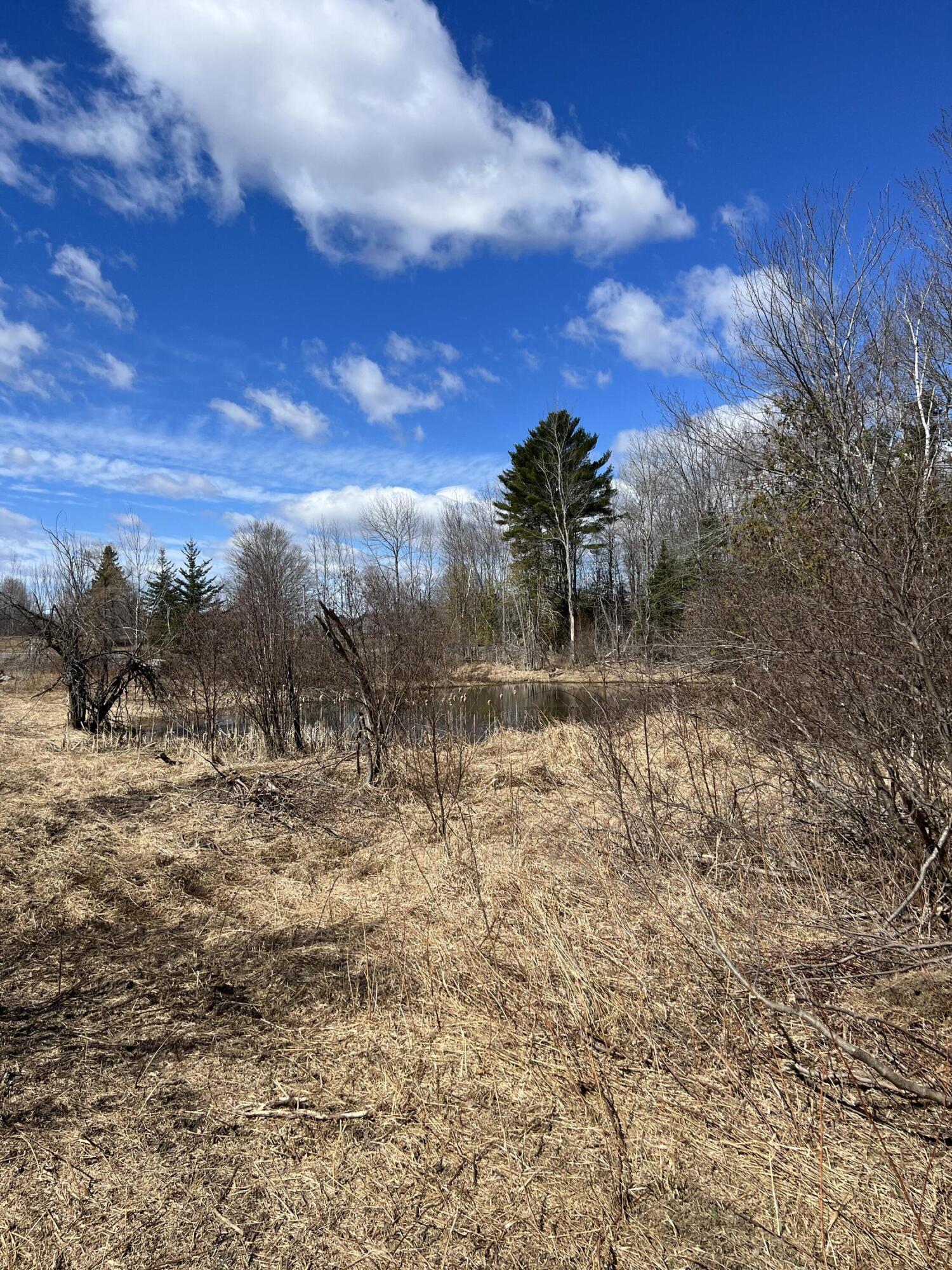 Lot 11-1 Main Road Charleston, ME 04422 - Photo 28 of 39 Pond view