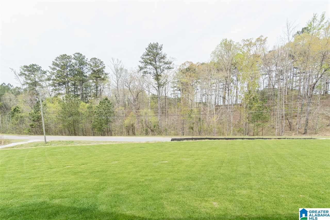 236 Ambergate Circle Pelham, AL 35124 - Photo 48 of 50