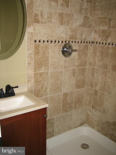 8607 Woodspring Road Randallstown, MD 21133 - Photo 15 of 17 Bath (Master)