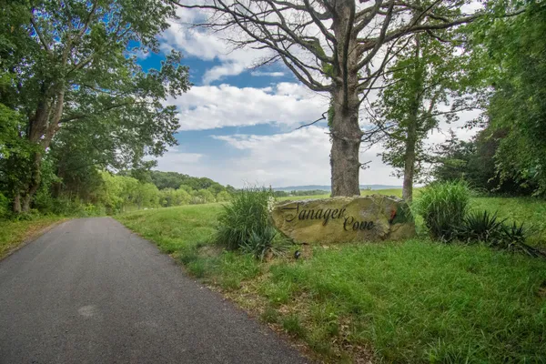 $250,000 | Lot 2 Tanager Cove, Dublin, VA 24084