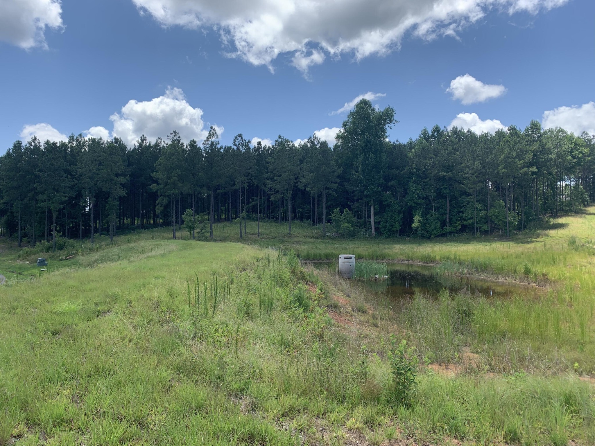 350 Crockett Loop Jasper, TN 37347 - Photo 7 of 55 a view of a lake with a yard