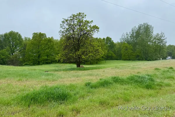 $95,900 | 2 Leaf Lane, Freeport, MI 49325