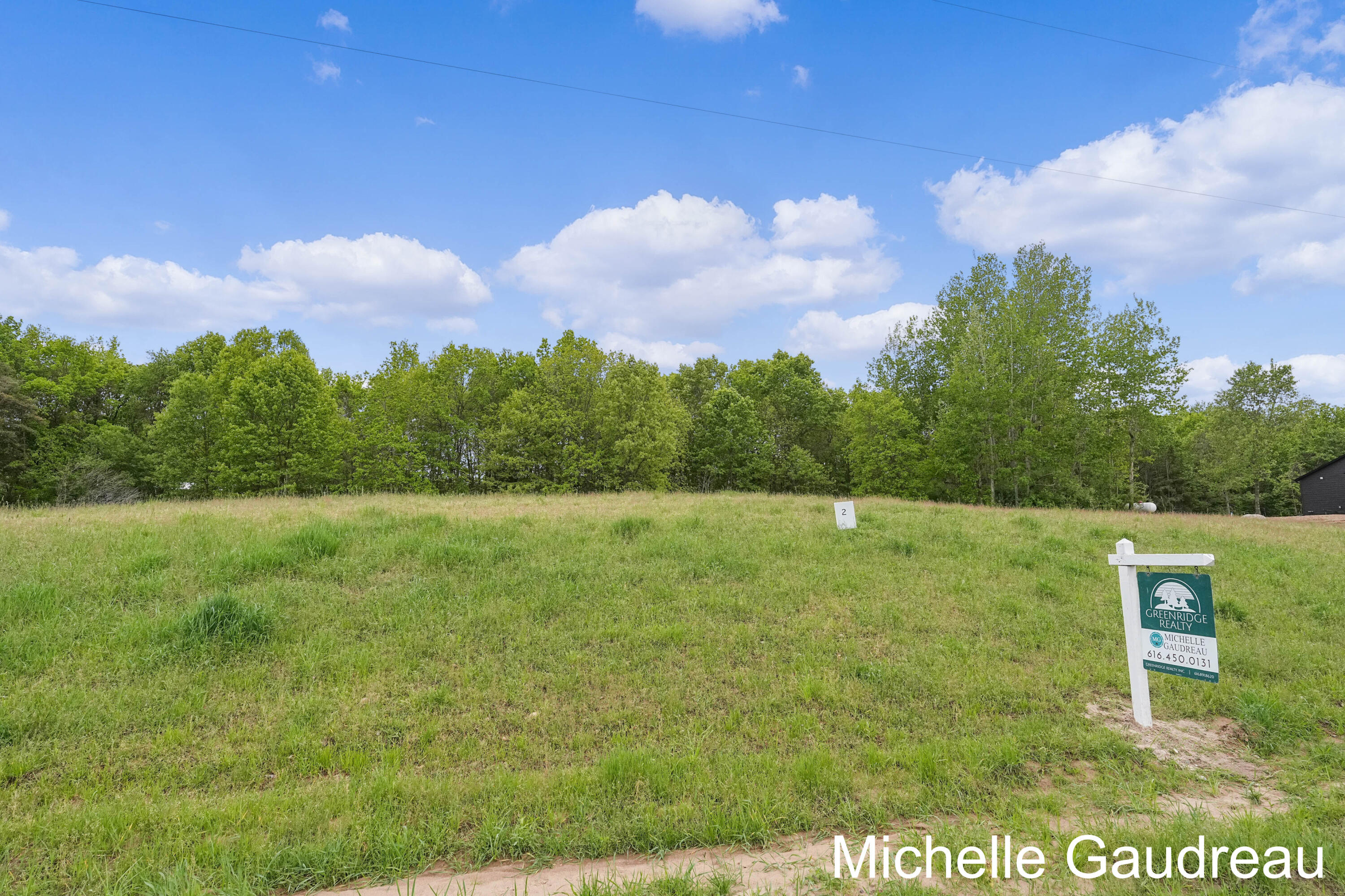 2 Leaf Lane Freeport, MI 49325 - Photo 4 of 15 Parcel 2