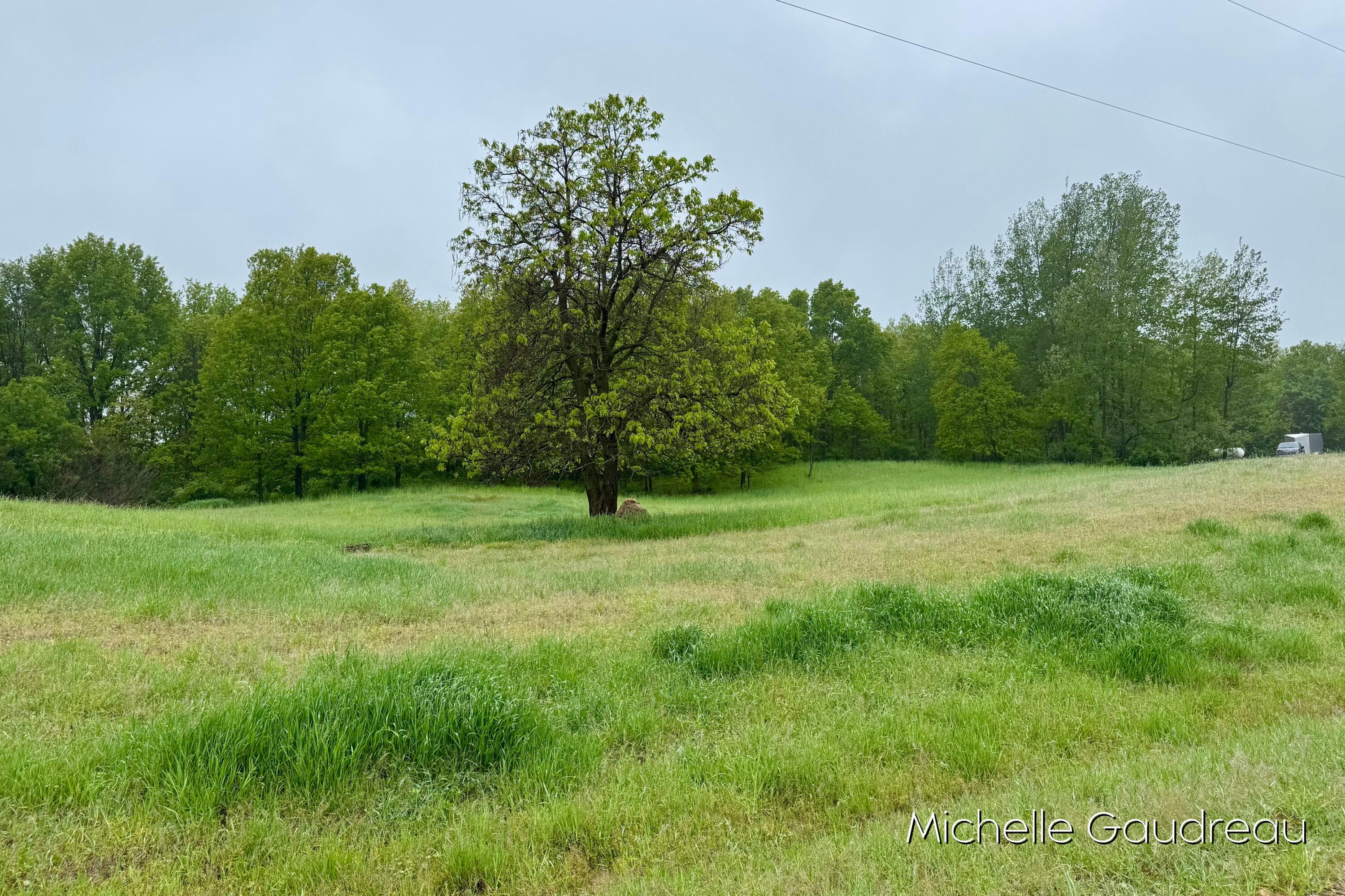 2 Leaf Lane Freeport, MI 49325 - Photo 6 of 15 Parcel 2b