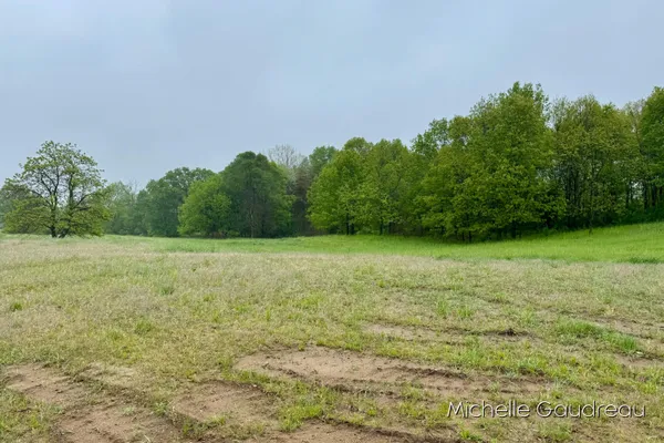 $95,900 | 2 Leaf Lane, Freeport, MI 49325