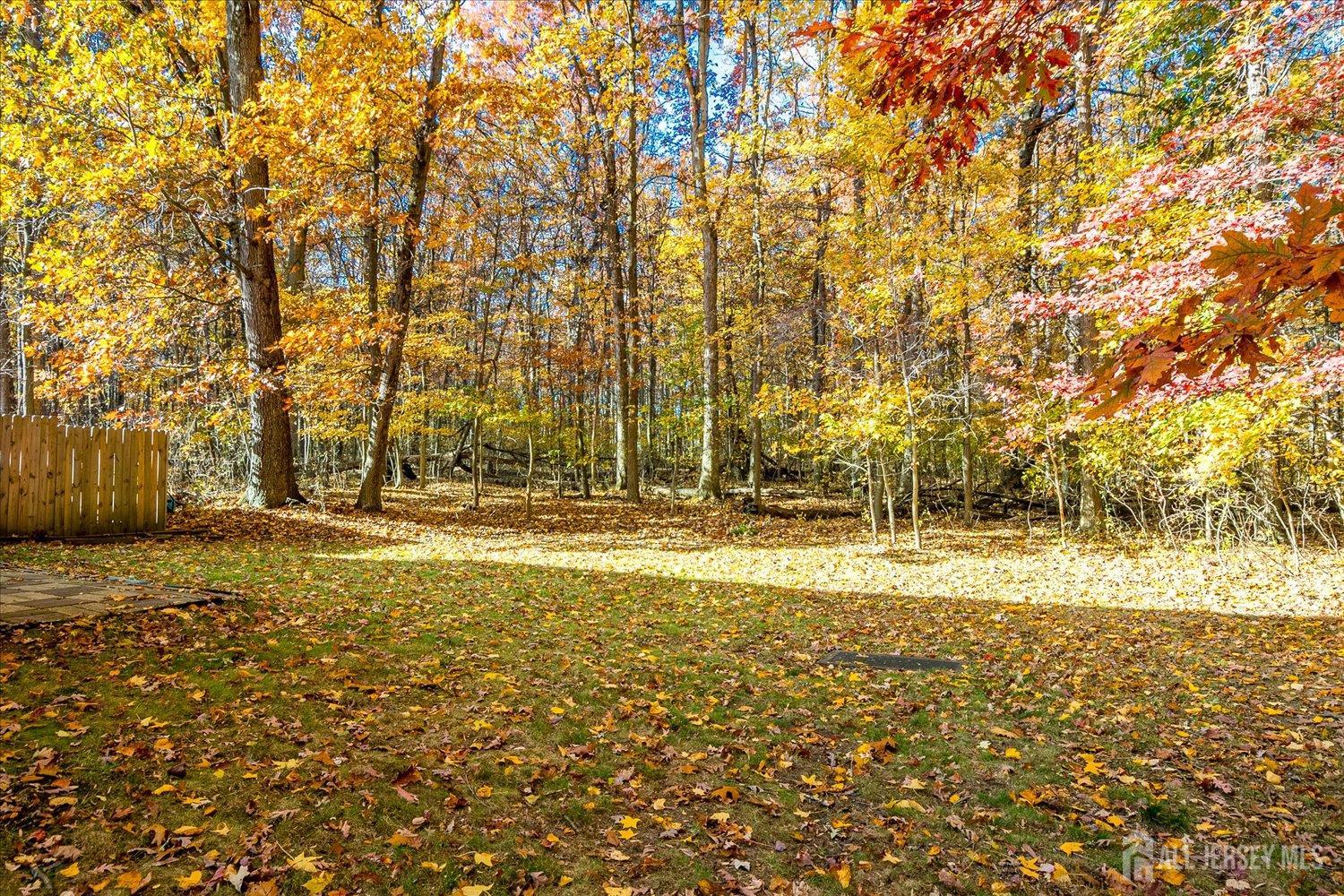 536 Elsie Avenue South Plainfield, NJ 07080 - Photo 27 of 28 a view of yard with swimming pool and trees