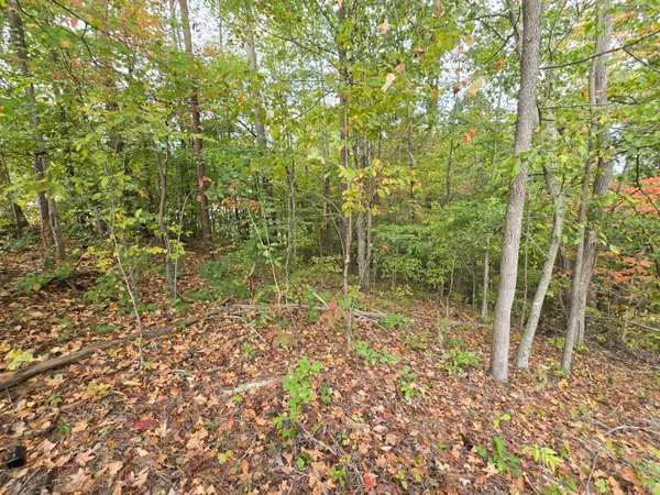 $29,500 | 1 Southeast Headrick Southeast Circle, Dalton, GA 30721