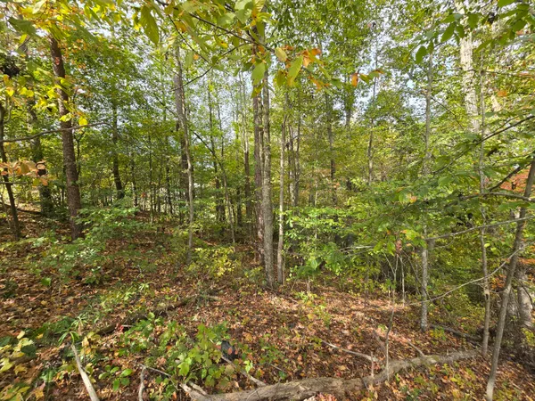 $29,500 | 1 Southeast Headrick Southeast Circle, Dalton, GA 30721