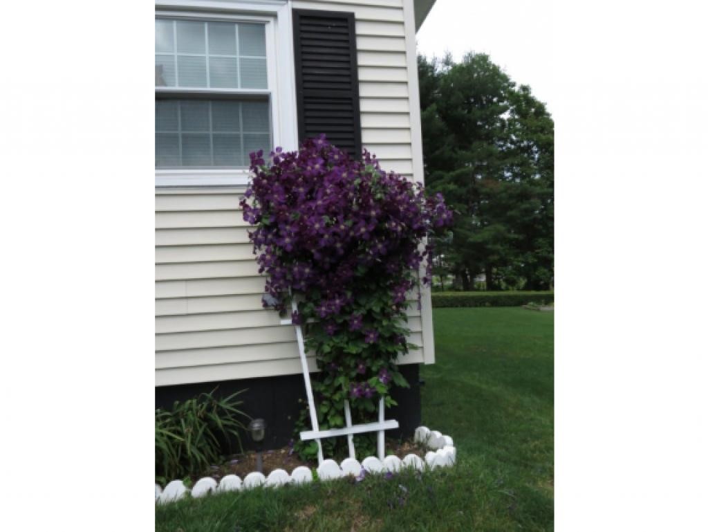 28 Twombly Street Rochester, NH 03867 - Photo 14 of 22