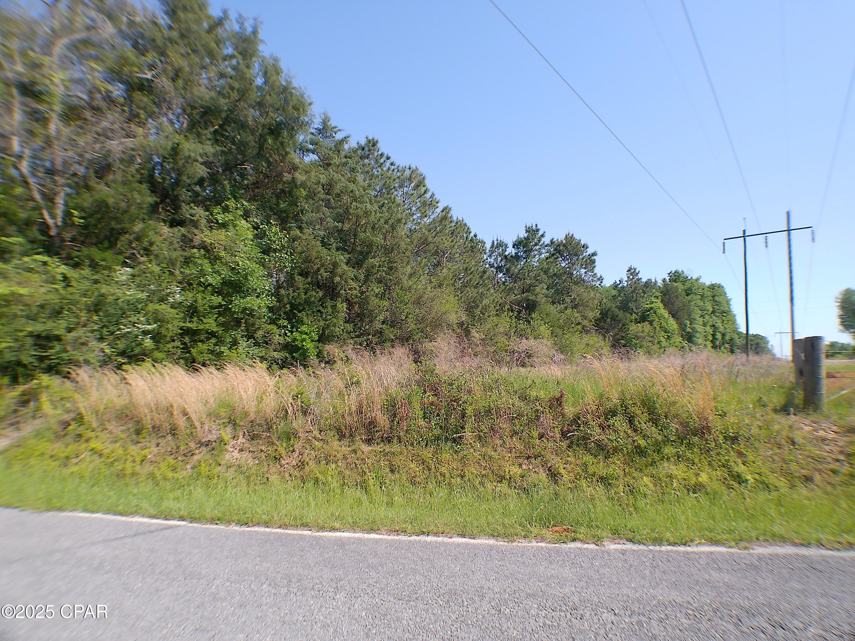 0 Christian Life Road, Unit 19 5 DeFuniak Springs, FL 32433 - Photo 5 of 21