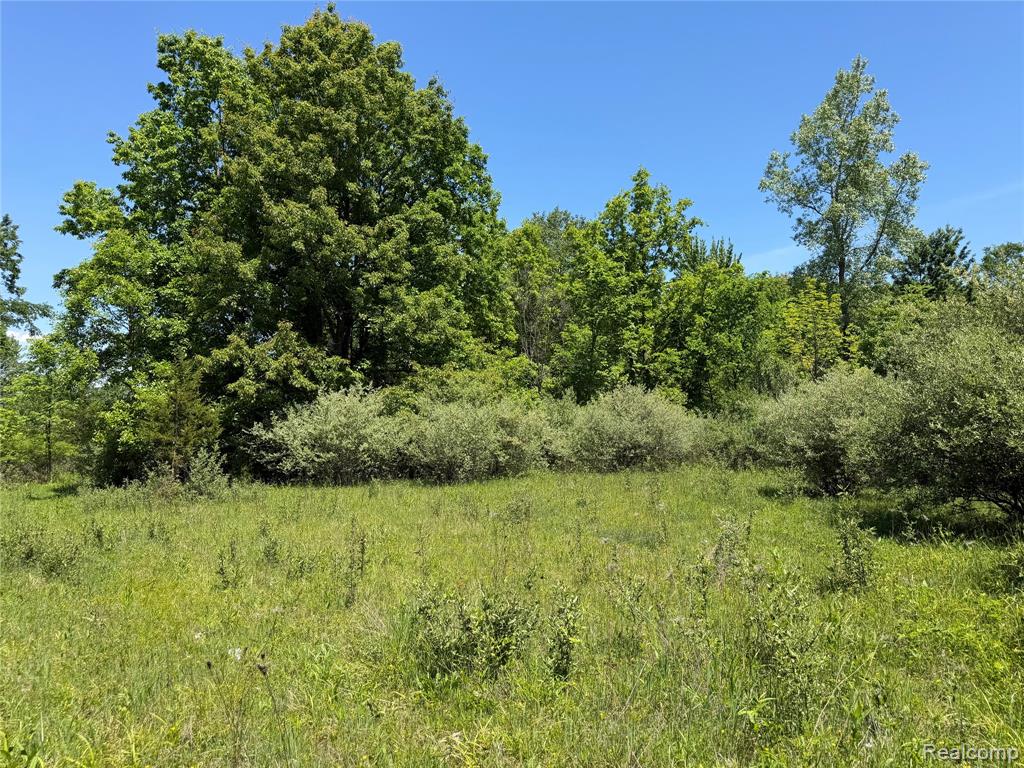 0 Dudley Road Brown City, MI 48416 - Photo 11 of 19