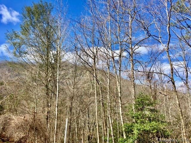 157 Lacy Fern Ridge Sylva, NC 28779 - Photo 14 of 20 Gallery Image 14