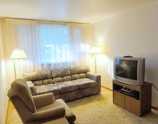 9340 Barnes Lake Road North Huntingdon, PA 15642 - Photo 5 of 10 Family Room.