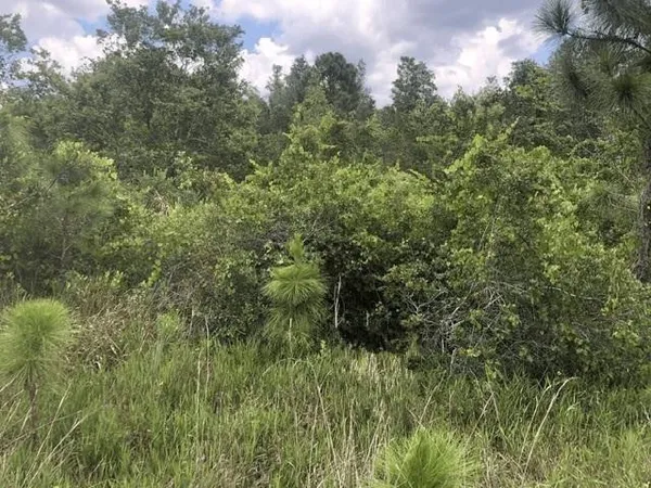 $19,500 | 0 Xeriscape Nursery Road, Frostproof, FL 33843