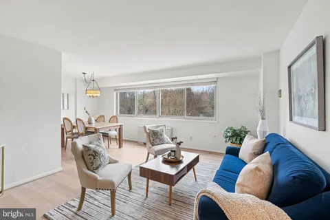 a living room with furniture a potted plant and wooden floor