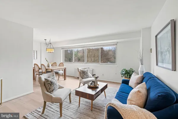 a living room with furniture a potted plant and wooden floor